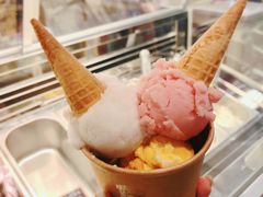 杨枝甘露雪糕-歎雪糕低糖低脂Gelato冰淇淋