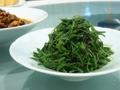 油鸡枞拌辣木苗-马旺子酒楼