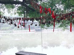 -小洲村