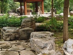 -东郊湿地公园