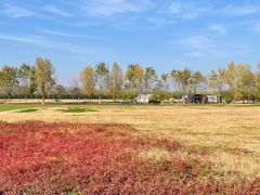 -汉长安城未央宫国家考古遗址公园