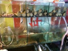android_upload_pic-1937青岛老味道·青岛菜(大鲍岛栈桥店)