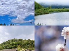 -白鹭湾湿地公园