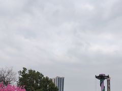 -南湖梦幻岛