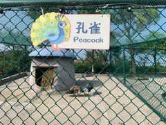 -上海滴水湖皇冠假日酒店