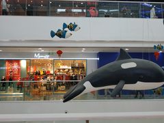 -上海颛桥万达广场