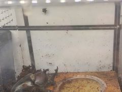 -Rabbit Cafe私房西餐甜点咖啡(栖霞路店)