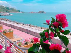 -观海轩餐厅(一线海景店)