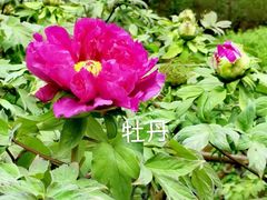 -中山公园