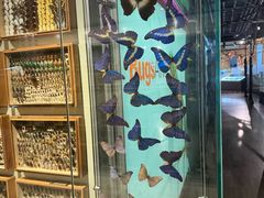 -墨尔本博物馆(Melbourne Museum)