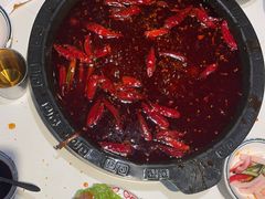 红汤小锅-卤校长老火锅(杨家坪直营店)