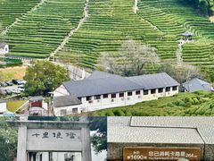 -香芙茗茶楼(梅家坞总店)