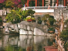 -深圳市中科院仙湖植物园