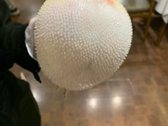 -肆月河豚·新淮扬(金融街店)