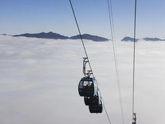 -舌尖上的石棉何雨露烧烤