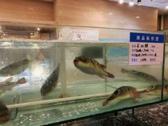 -大方圆酒楼(西门大街店)