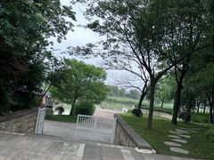 -长兴太湖图影湿地文化园