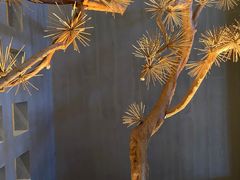 -春熙台韩国料理·章鱼肥牛(西丽店)