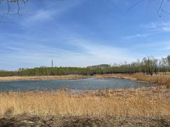 -野鸭湖国家湿地公园