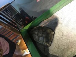 -未来动物城动物主题公园(大悦城店)