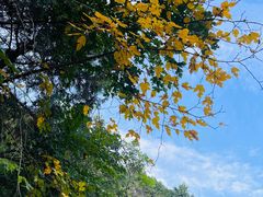 -北京西山国家森林公园