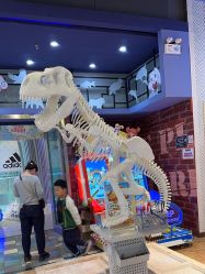 点击看大图 -卡通尼乐园(五彩世界店)