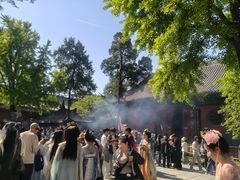 -洛阳白马寺