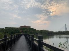 -芒洲湿地公园