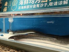 -東盛炭烤自助料理(玄武招商花园城店)