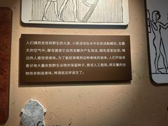 -百威中国啤酒博物馆