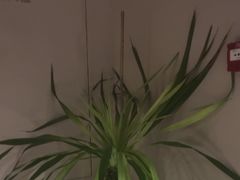 -泰合玺·精油疗愈 SPA(南京河西万达店)