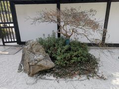 -新洲生态园