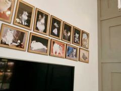 -猫大福·Fortune Cat猫舍(百子湾店)