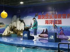 -重庆欢乐海底世界