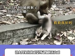 -昆明动物园