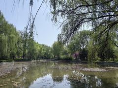-洛阳市隋唐城遗址植物园