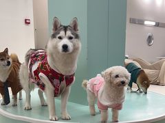 -怪兽屋·羊驼·猫咖·狗咖(俊华广场店)