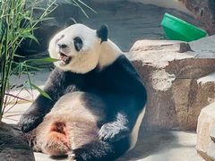 -宁波野生动物园