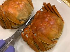 清水大闸蟹-王宝和酒家(黄浦店)