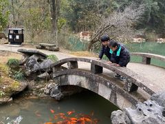 -灵栖洞天