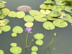 -国家植物园南园