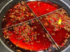 -陈眼镜火锅(总店)