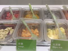 -Salud撒露欧洲冻酸奶(蓝色港湾店)