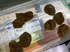 -汕尾菜粿(向西老店)