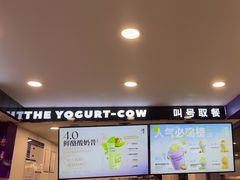 -一只酸奶牛(洪崖洞11楼店)