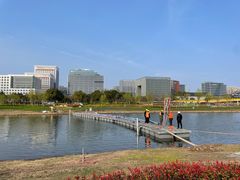 -春花秋色城市公园