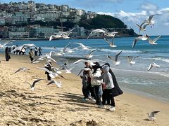 -海云台海滩