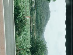 -红山村