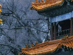 -沈阳市东陵公园