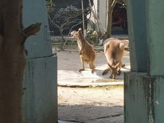 -宁波野生动物园